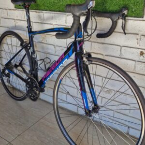 Merida 300 Juliet Ride