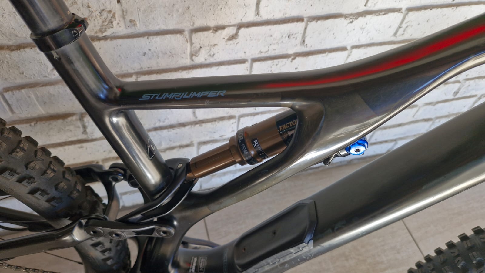 S Works Stumpjumper (Large) Carbon - Image 2