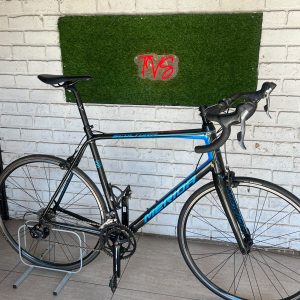 Merida scultura 100